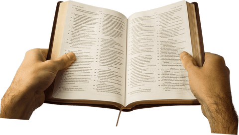 Hands Holding Open Book with Transparent Background for Learning Concept - Download Free Stock Videos Pikwizard.com
