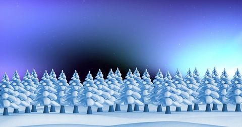 Wintry Pine Forest Under Aurora Borealis Night Sky - Download Free Stock Images Pikwizard.com