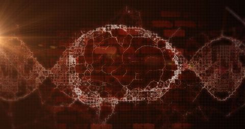 Digital Brain with Rotating DNA Overlays - Download Free Stock Images Pikwizard.com