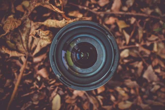 Professional camera lens lying on autumn leaves, creating a vivid contrast with the brown and orange foliage. Perfect for themes of photography, creativity, nature exploration, fall season promotion, and outdoor activities marketing.