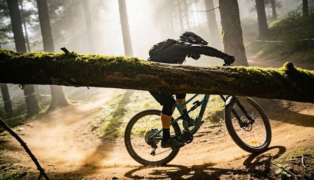 Downhill mountain biker crouching under moss-covered log on dusty forest singletrack