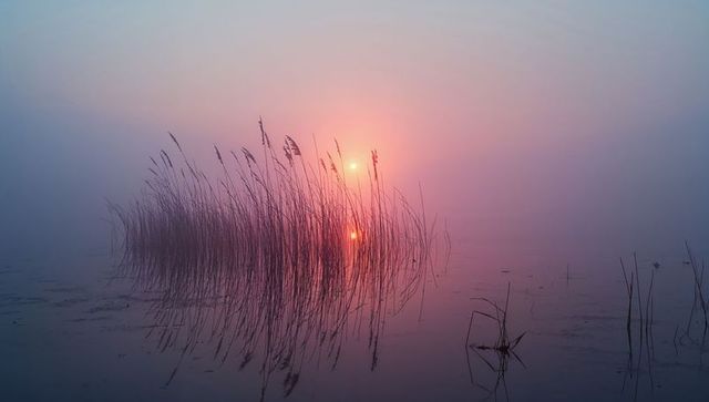 Serene water reflection with glowing mist and sunset
