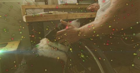 Mid-adult man petting black-and-white cat at home desk with colorful particle overlay