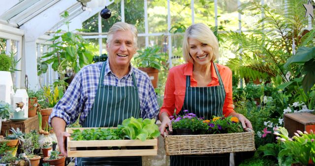 Senior Couple Gardening in Glass Greenhouse with Fresh Plants - Download Free Stock Images Pikwizard.com