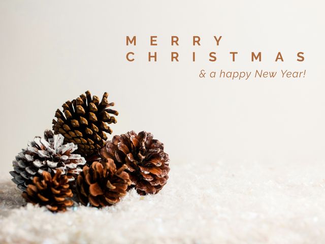 Composition of christmas text over pine cones on snow background. Christmas festivity, celebration and tradition concept digitally generated video.