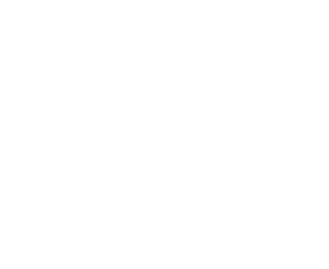 outlined leaf illustration on transparent background - Download Free Stock Videos Pikwizard.com