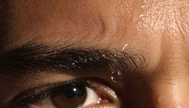 Eyebrow holding water droplet above brown eye, glistening skin texture macro