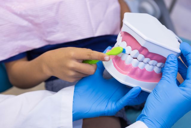 This image shows a dentist teaching a child how to brush teeth using a set of dentures. It is ideal for use in dental care promotions, educational materials on oral hygiene, pediatric dentistry websites, and healthcare brochures. It emphasizes the importance of proper brushing techniques and dental health education for children.