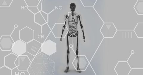 Human Skeleton with Organic Chemistry Diagrams