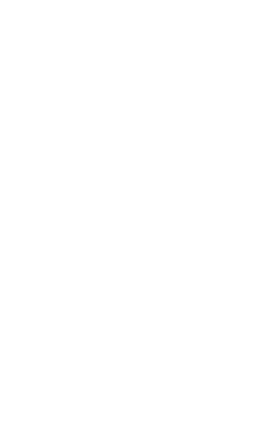 Silhouette of Male Archer Holding Bow and Arrow on Transparent Background - Download Free Stock Videos Pikwizard.com