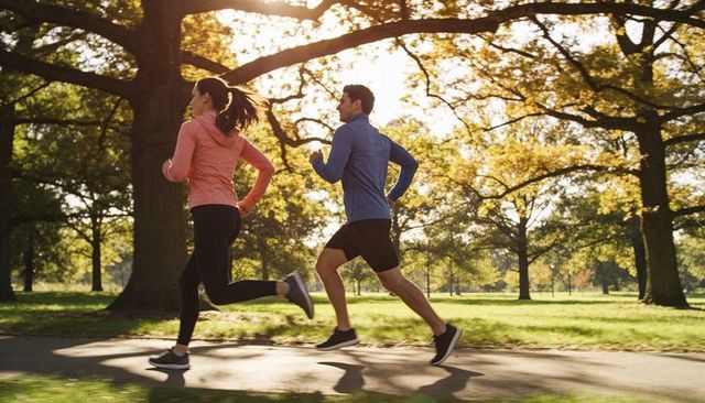 Running partners jogging on sunlit park path under oak trees boosting outdoor fitness
