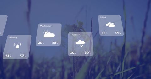 Digital Weather Forecast Overlay Above Grass Background - Download Free Stock Images Pikwizard.com