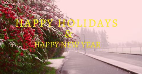 Holiday greetings with snowy winter scenery