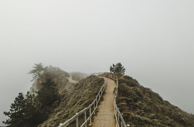 Wooden pathway on steep hill leading into dense fog. Ideal for illustrating themes of mystery, adventure, nature, and exploration. Perfect for travel articles, adventure blogs, and nature photography collections.