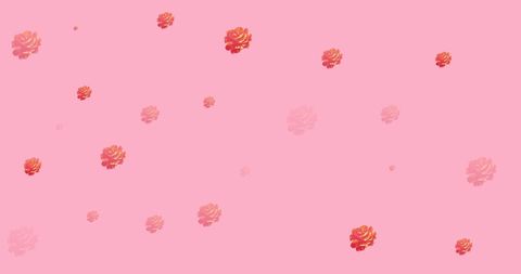 Delicate Red Roses Spread on Soft Pink Background - Download Free Stock Images Pikwizard.com