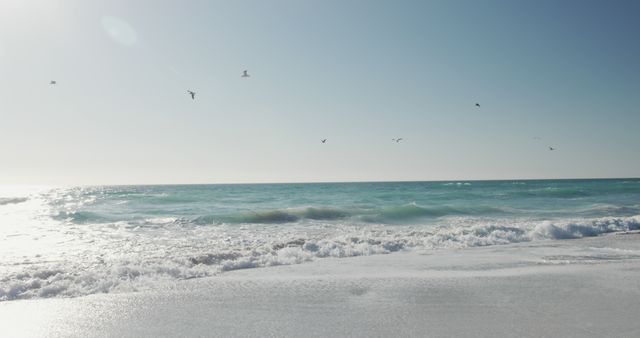 Splendid Coastal Horizon with Seagulls Flying Over Tranquil Ocean Waves - Download Free Stock Images Pikwizard.com