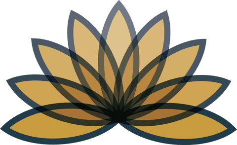 digital illustration of transparent brown lotus flower design - Download Free Stock Videos Pikwizard.com
