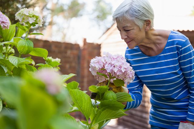 Senior woman smelling pink hydrangea bunch at backyard