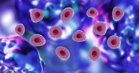Digital Visualization of Cells in Multicolor Abstract Background - Download Free Stock Images Pikwizard.com