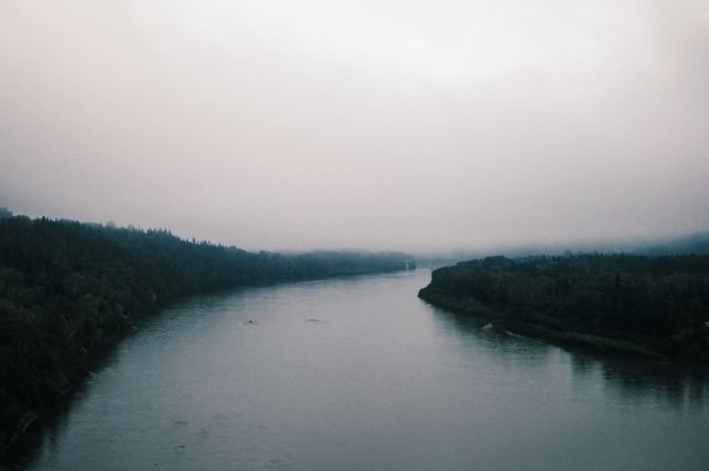 This serene and atmospheric scene captures a misty river flowing smoothly through a lush green forest on an overcast day. The tranquil water and subdued light create a calm and peaceful ambiance, making it suitable for use in travel brochures, nature magazines, websites featuring natural landscapes, or calming background displays.