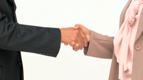 Professional Handshake Between Business Colleagues