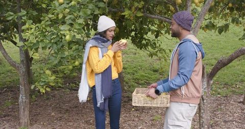 Diverse couple checking orchard fruit wearing hats and scarves with wicker basket