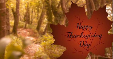 Happy Thanksgiving Day Text over Autumn Leaf in Forest - Download Free Stock Images Pikwizard.com