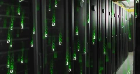 Dynamic Data Flow Visualization in Data Center Environment