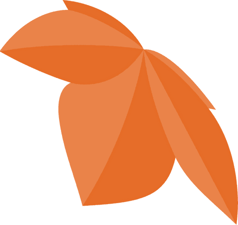 Vibrant Orange Abstract Petal Design on Transparent Background