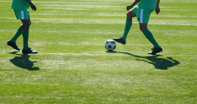 Soccer players on green field practicing during a sunny day. Shadows fall on grass, adding dynamic contrast. Applicable as sports event promotions, training exercises depiction, and team spirit visuals.