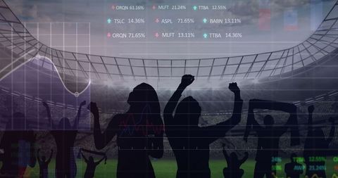 Interactive Digital Graphs Over Celebrating Sports Fans in Stadium