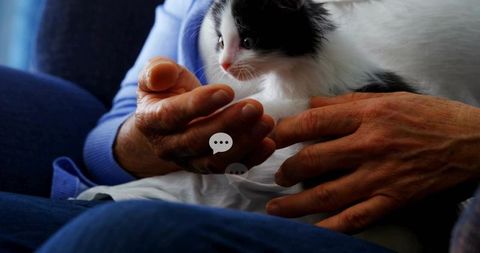 Senior cradling black-and-white kitten on lap, wrinkled hands showing gentle companionship