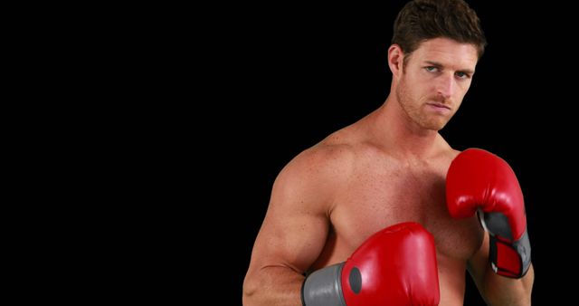 Determined Male Boxer in Red Gloves Preparing to Fight - Download Free Stock Images Pikwizard.com