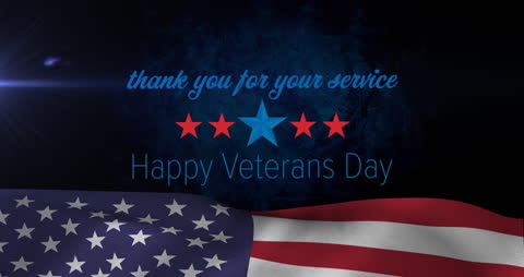 Patriotic Veterans Day Tribute with Text and Flag