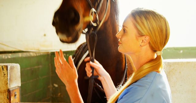 Veterinarian Checking Horse in Stable - Download Free Stock Images Pikwizard.com