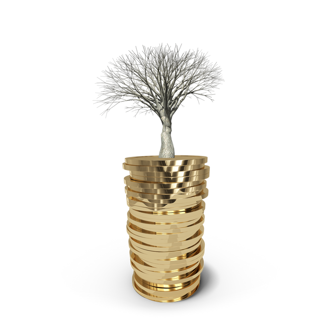 Golden Coins with Tree Growing Transparent Background - Finance and Nature Concept - Download Free Stock Videos Pikwizard.com