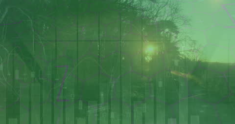 Green Landscape Overlay with Financial Data Visuals