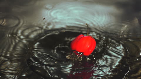 Red Scotch Bonnet Pepper Splashing into Water with Dynamic Ripples