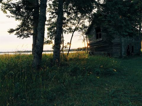 Golden sunset over abandoned lakeside cabin amid overgrown trees and wildflowers