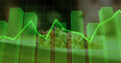Green Bar Chart Over Honeycomb With Bees - Sustainability, Pollination And Data Analytics