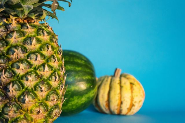 This vibrant image featuring a pineapple, a watermelon, and a squash placed against a bright blue background is perfect for use in health and wellness websites, cooking blogs, and nutritional articles. It can also be used in marketing materials promoting fresh produce, summer recipes, or organic produce delivery services due to its eye-catching, colorful composition and focus on fruits and vegetables.