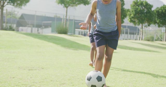 Children Playing Soccer on Sunny Day in Park - Download Free Stock Images Pikwizard.com