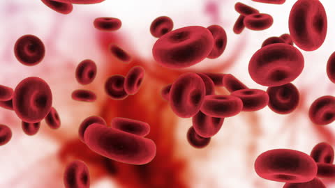 Floating Blood Cells on Dynamic Background