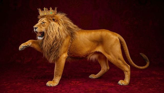 Majestic lion wearing regal crown displaying power