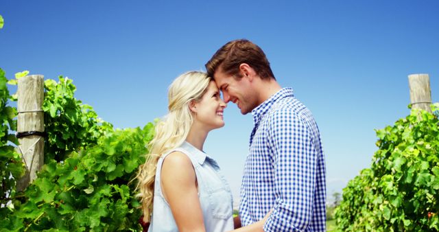 Couple is standing in vineyard, sharing a close moment. Useful for themes related to love, relationships, outdoor lifestyle, nature, travel, and escape from everyday life.