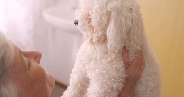 This image can be used to depict the loving bond between a senior and her pet, ideal for articles or promotions related to elderly care, pet ownership benefits, or emotional wellbeing. It's perfect for campaigns that emphasize comfort, companionship, and warmth in a domestic setting.