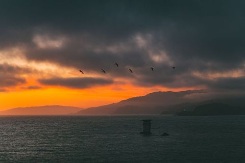 Seagulls flying over ocean during dramatic orange sunset with silhouetted coastline and distant ligh