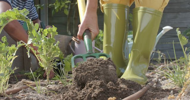 Diverse couple working in garden and planting plants, slow motion - Download Free Stock Photos Pikwizard.com