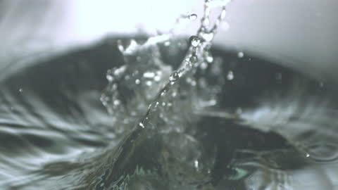Corn Cobs Splashing in Water Slow Motion