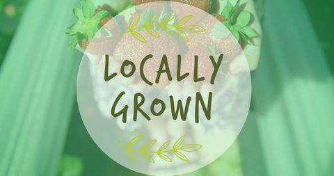 Hands holding fresh strawberries with locally grown text